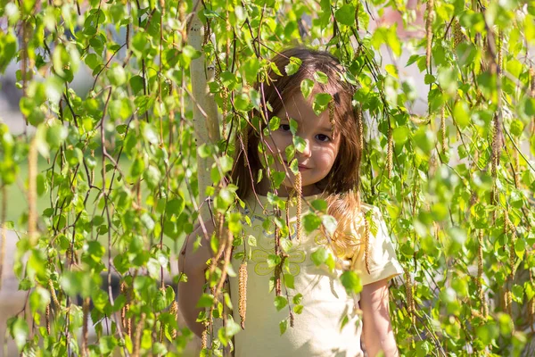 Portret Dziewczynki Vygladyvayushchy Powodu Gałęzie Drzewa Brzoza — Zdjęcie stockowe