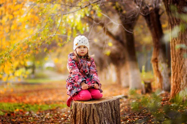在秋天的公园里 穿着夹克和针织帽的女孩坐在一个存根上 — 图库照片