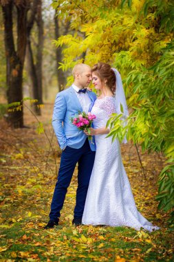 Damat ve gelin sonbahar parkta yürümek. Mutlu yeni evliler sarı ağaca poz