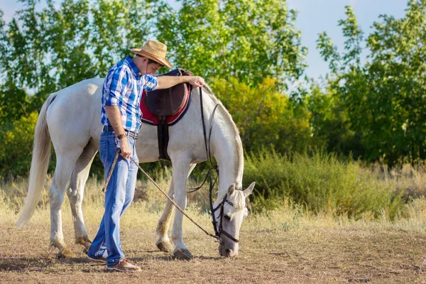 Homem Uma Camisa Chapéu Anda Com Cavalo — Fotografia de Stock