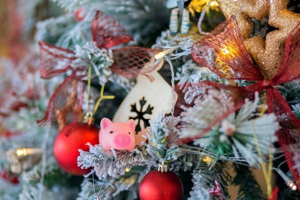 Petit Cochon Jouet Rose Est Assis Sur Sapin Noël — Photo