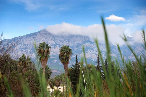 Widok Góry Przez Trawy Chmury Dosta³ Przebija³ Góry Turecki Krajobraz — Zdjęcie stockowe