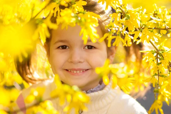 女孩的大画像在绽放黄色春天到灌木 — 图库照片