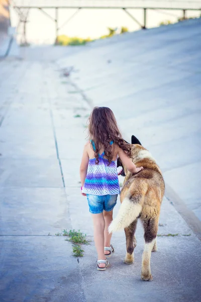 Het kleine meisje gaat uit met de vriend-een hond van RAS een Akita. — Stockfoto