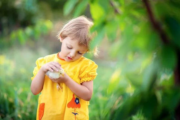 Dziewczynka w jasnożółtej sukni kosztuje w trawie w wiosce i trzyma trochę kurczaka w ręku — Zdjęcie stockowe