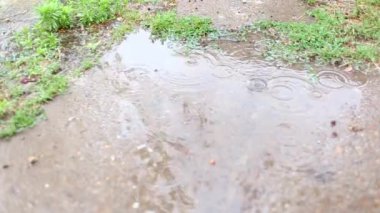 Asfalt üzerindeki bir havuzda yağmur damlası. Yaz bulutlu hava