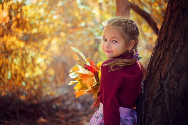 Mała dziewczynka spaceruje w jesiennym lesie z pięknym bukietem żółtych spadających liści — Zdjęcie stockowe
