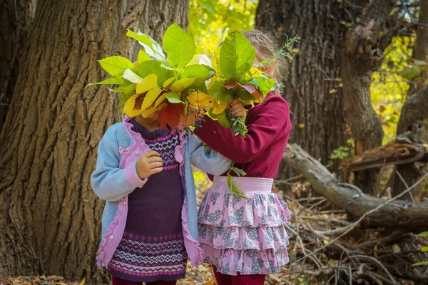 Две девушки прячут лицо друг друга за букет осенних листьев — стоковое фото