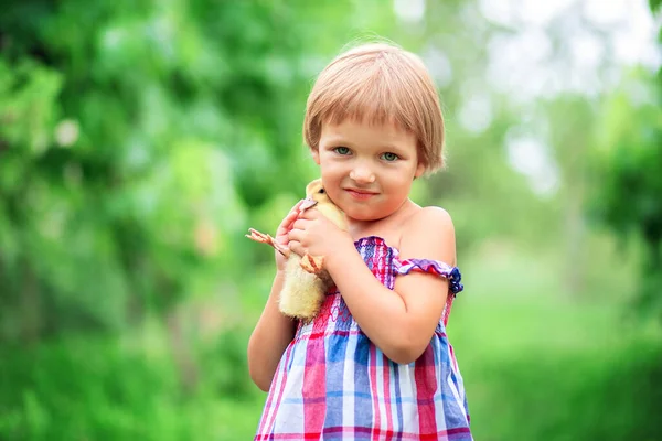 Feliz Niña Vestido Verano Abraza Patito Pie Sobre Naturaleza Hierba —  Fotos de Stock