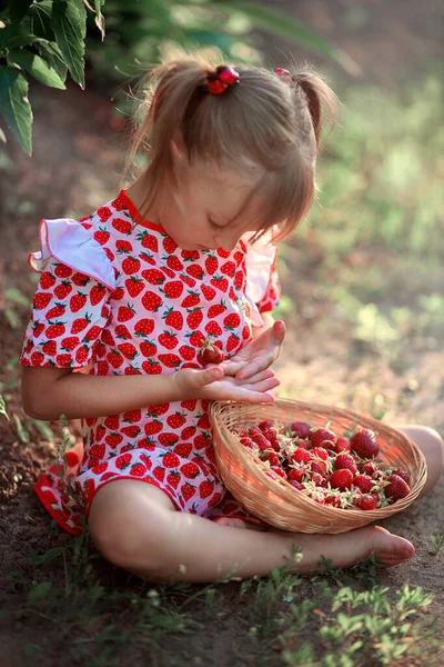 Una Niña Vestido Con Dibujo Fresas Sienta Claro Sostiene Fresa —  Fotos de Stock