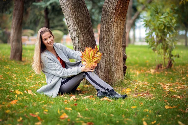 一位穿着灰色羊毛衫的漂亮姑娘坐在公园的草地上 手里拿着一束秋天的黄色枫叶 — 图库照片