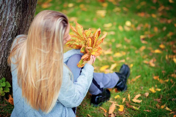 一位穿着灰色羊毛衫的漂亮姑娘坐在公园的草地上 手里拿着一束秋天的黄叶 — 图库照片