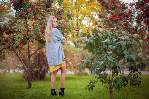 穿着灰色羊毛衫的金发姑娘 穿着一件黄色的连衣裙 站在秋天的树上 长着红色的浆果 秋季主题 — 图库照片