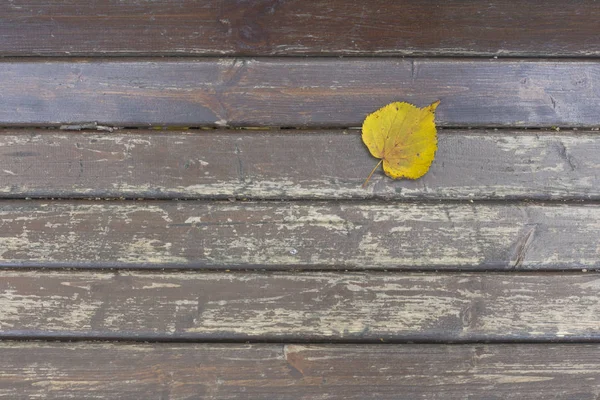 Folha Outono Amarela Uma Superfície Madeira — Fotografia de Stock
