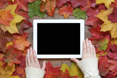 Eller bir kazaklı tablet sonbahar yaprakları bir tablo kullanın. Üstten görünüm