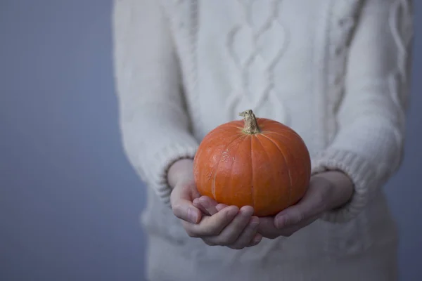Woman White Sweater Holds Pumpkin Hand — Stock Photo, Image
