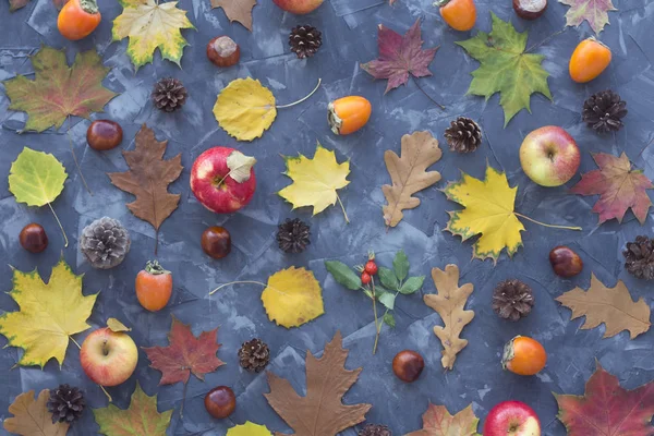 Background from autumn objects. Top view