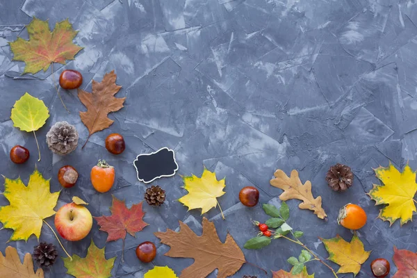 Background from autumn objects. Top view