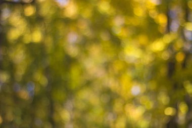 Soyut sonbahar Bokeh arka plan