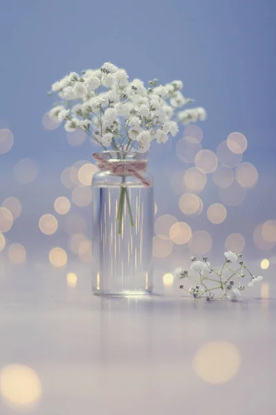 Pequeno Buquê Gypsophila Vaso Fundo Azul — Fotografia de Stock