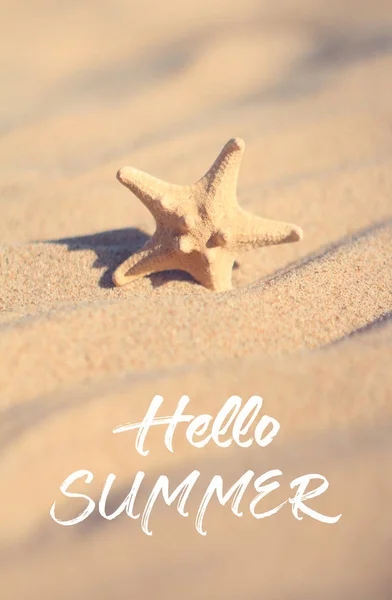Hello summer card. Starfish on the beach in a sunshine