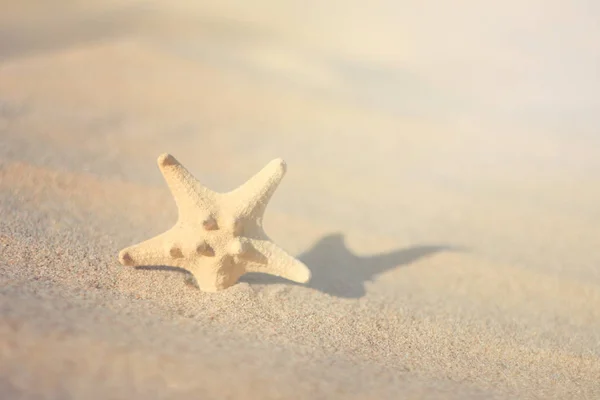 Αστερίας Για Ιστορικό Της Άμμου — Φωτογραφία Αρχείου