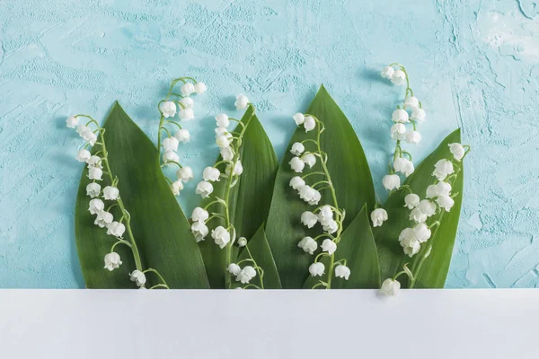 Lily of the valley flowers on the blue background. Top view flowers card