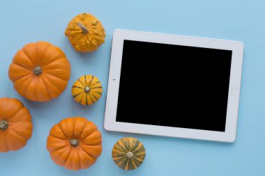 Dekoratif kabaklar ve beyaz tablet maket mavi arka plan üst görünümünde