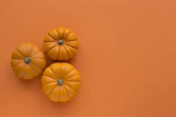 Drei Kürbisse Auf Orangefarbenem Hintergrund Von Oben — Stockfoto