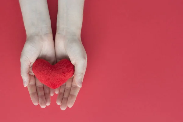 Plush red heart in womans hand on red background. Top view capture