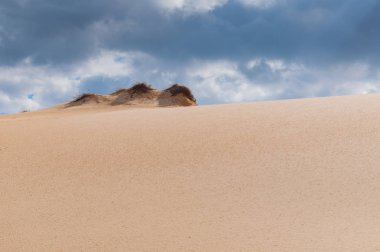 Kum Çölü ve karanlık gökyüzü