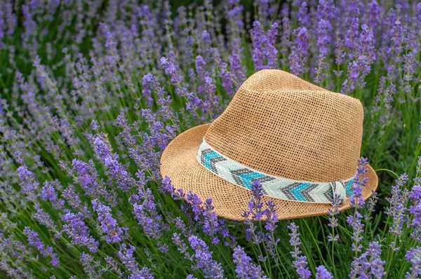 Chapeau Paille Sur Terrain — Photo