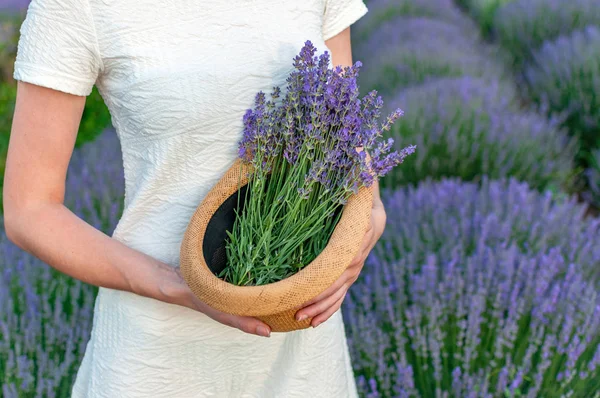 Wedding Lavender Bouquet Hat — Stock Photo, Image