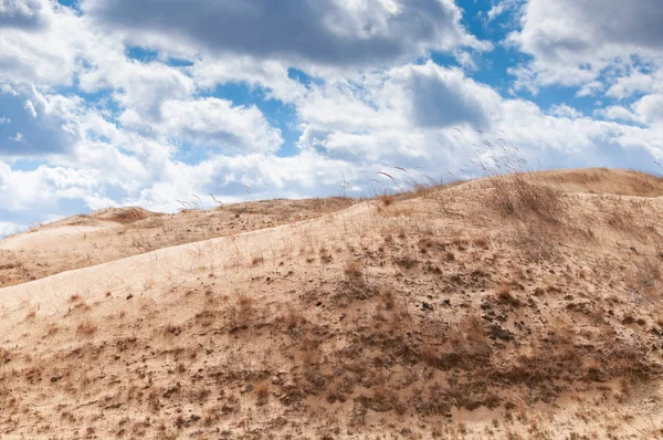 Ukrayna'nın güneyinde çöl