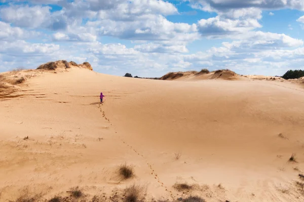 Ukrayna'nın güneyinde çöl