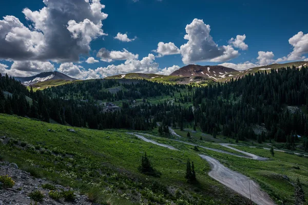 Alpine Lus Colorado Neerkijken Weg — Stockfoto