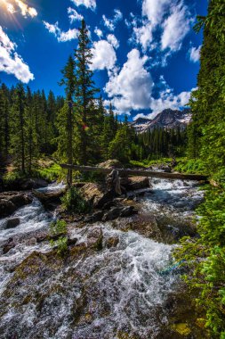 Mavi göl iz yakın Doğu çatal Dallas Creek Mt. Sneffels vahşi alanı 