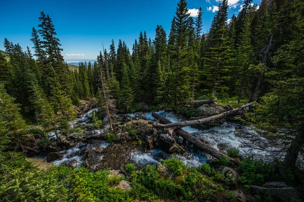 Východní Větev Dallas Creek Strýc Okolí Modrá Jezera Stezka — Stock fotografie