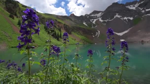 Groothoek Weergave Van Blue Lake Buurt Van Ridgway Colorado Met — Stockvideo