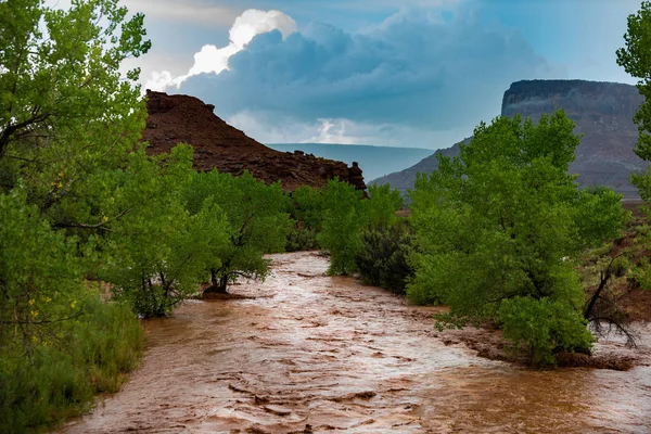 Les Eaux Crue Après Tempête Traverse Aiguille District Canyonlands Utah — Photo