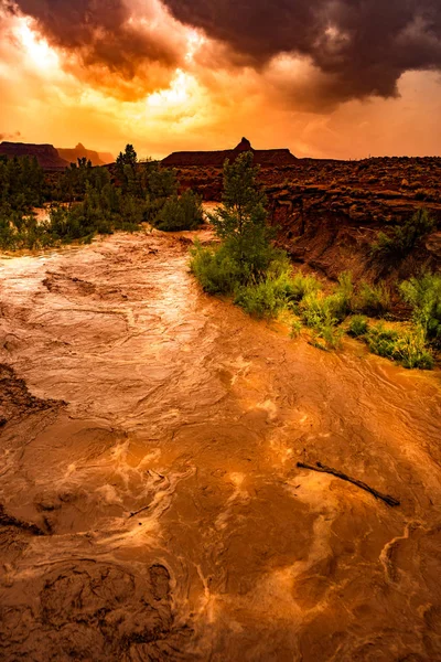 Flash Flood Waters after the storm flows through the Canyonlands Needle District Utah USA