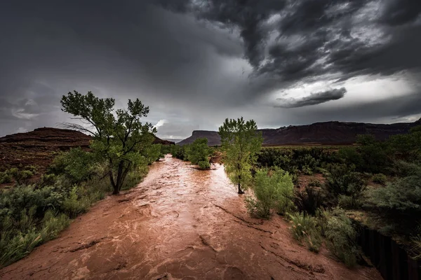 Flash Flood Waters after the storm flows through the Canyonlands Needle District Utah USA