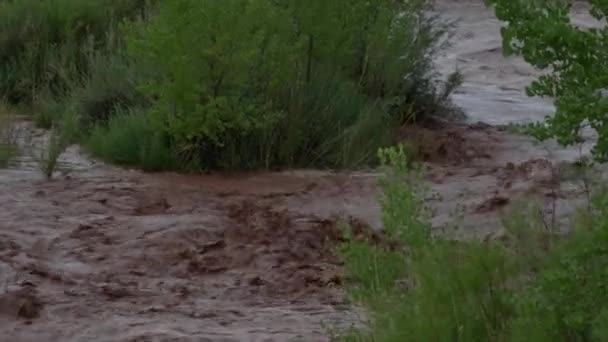 Flash Flood Waters Após Tempestade Flui Através Canyonlands Needle District — Vídeo de Stock