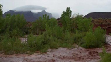 Flaş sel suları fırtına sonrası Canyonlands iğne ilçe Utah ABD akar