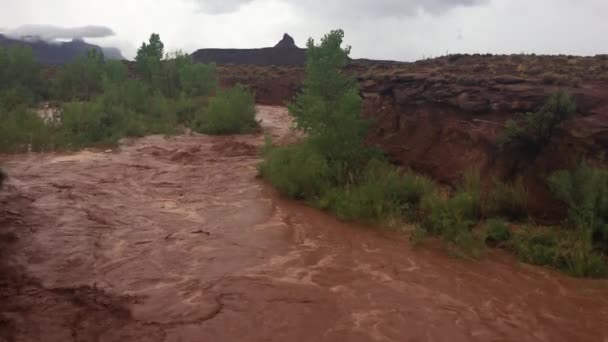 嵐の後のフラッシュの洪水が流れるキャニオンランズ針地区ユタ州アメリカ合衆国 — ストック動画