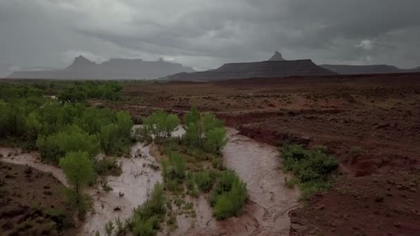 Flash Flood Waters Fluye Través Del Canyonlands Needle District Utah — Vídeo de stock