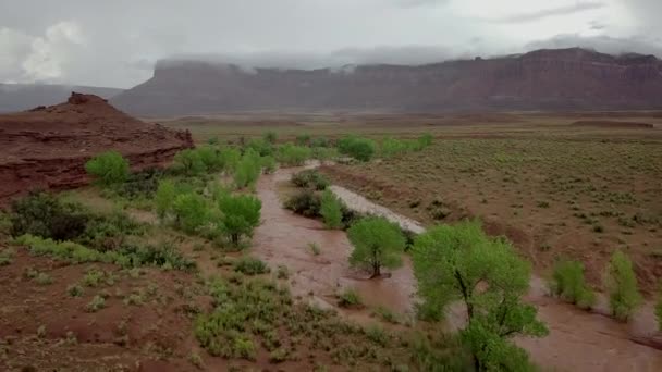 Flash Flood Waters Flows Canyonlands Needle District Utah Usa Aerial — Stock Video