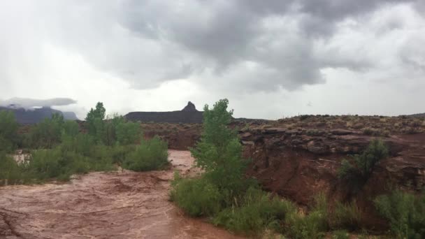 Flash Flood Waters Setelah Badai Mengalir Melalui Canyonlands Needle District — Stok Video