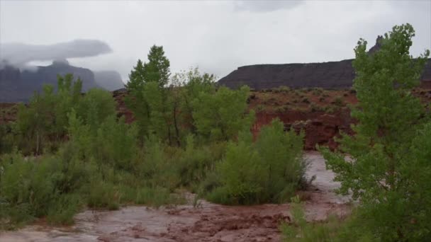 Flash Flood Waters Após Tempestade Flui Através Canyonlands Needle District — Vídeo de Stock