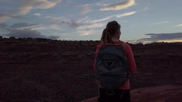 Caminante Camina Hasta Borde Del Canyon Needles District Canyonlands Utah — Vídeos de Stock